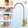 American Imaginations 2-in. W Kitchen Sink Faucet_ AI-36508